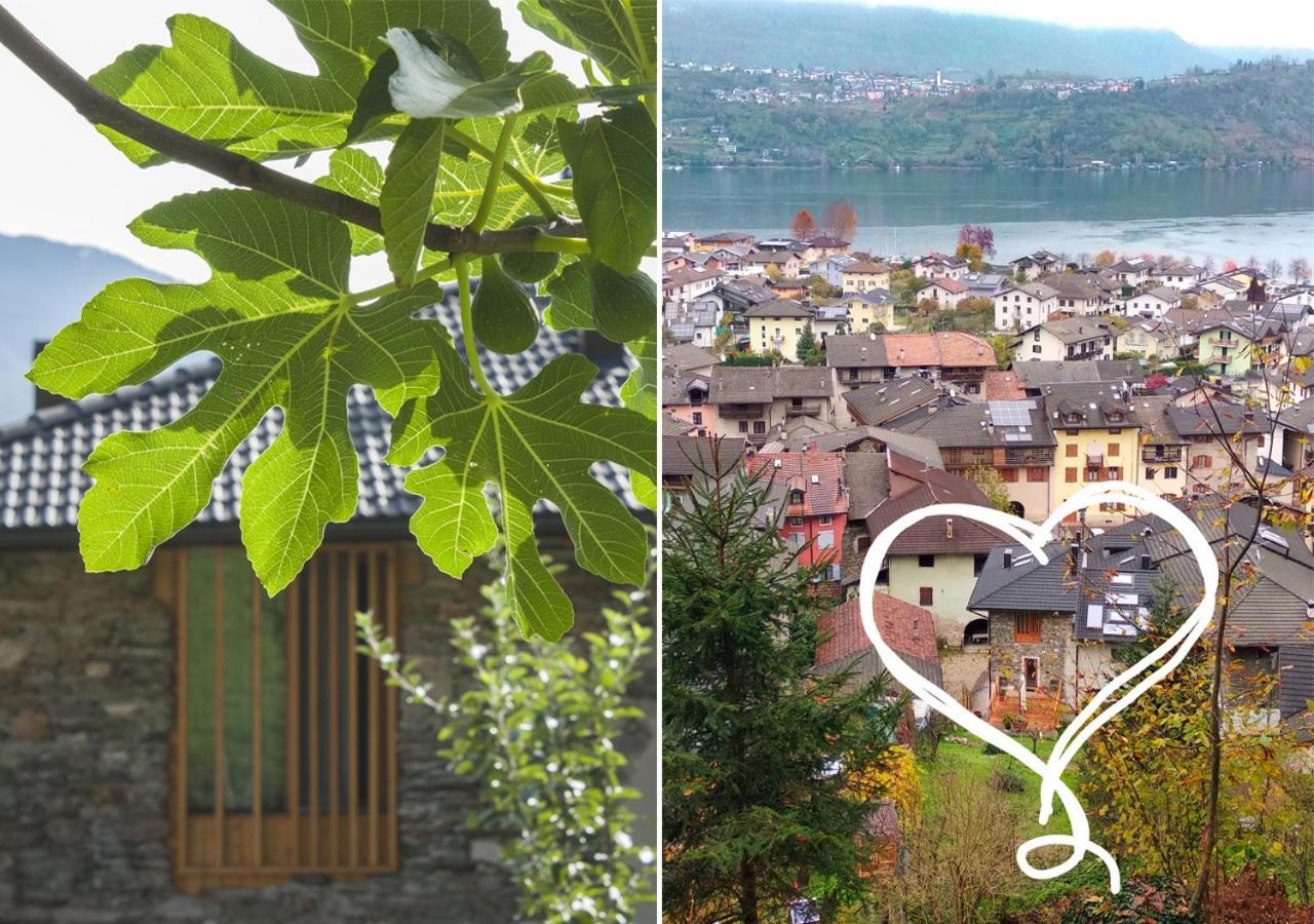 Agriturismo Farmhouse La Barberina Calceranica al Lago Dış mekan fotoğraf